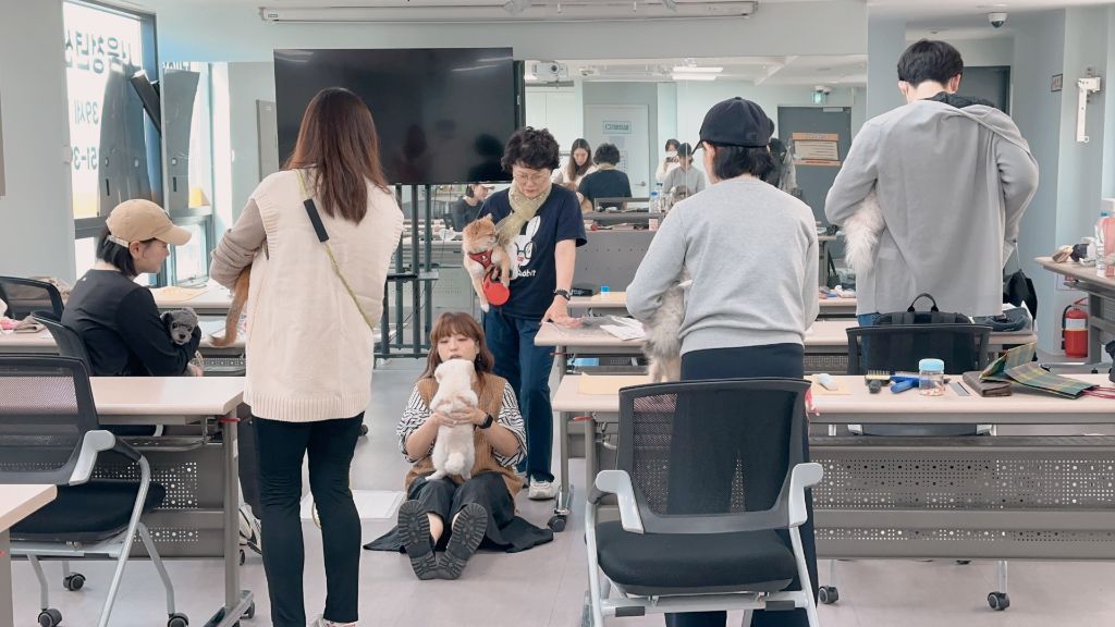 반려동물 산책행동교육