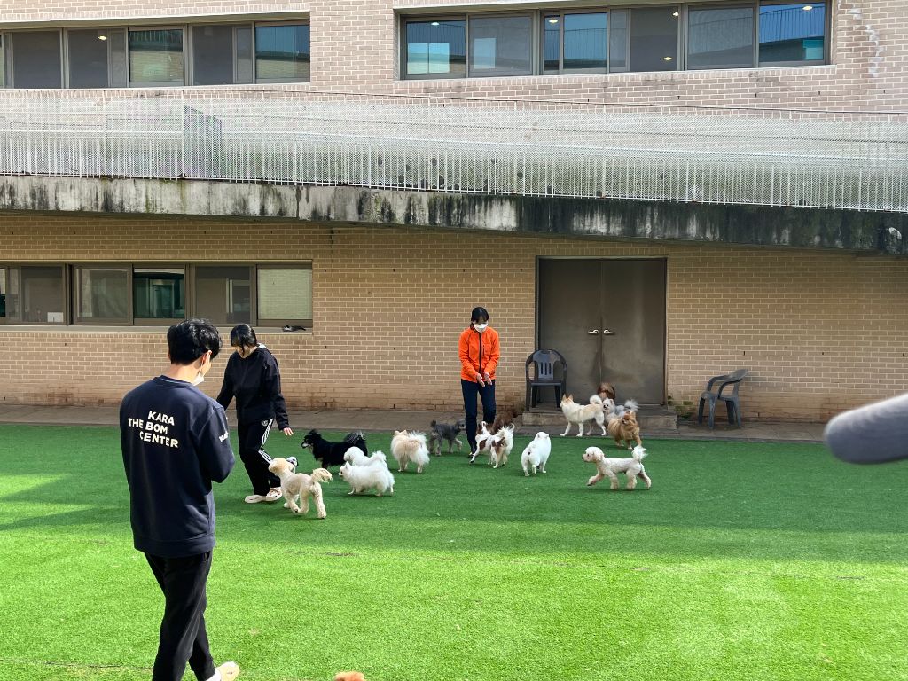 봉사 활동