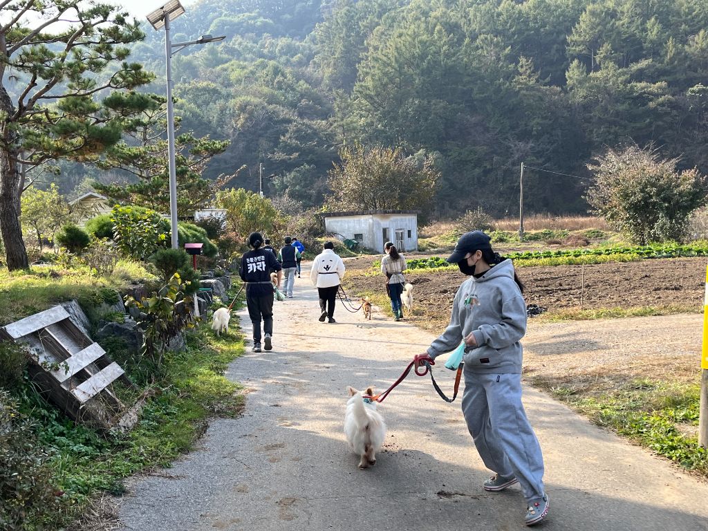 봉사 활동