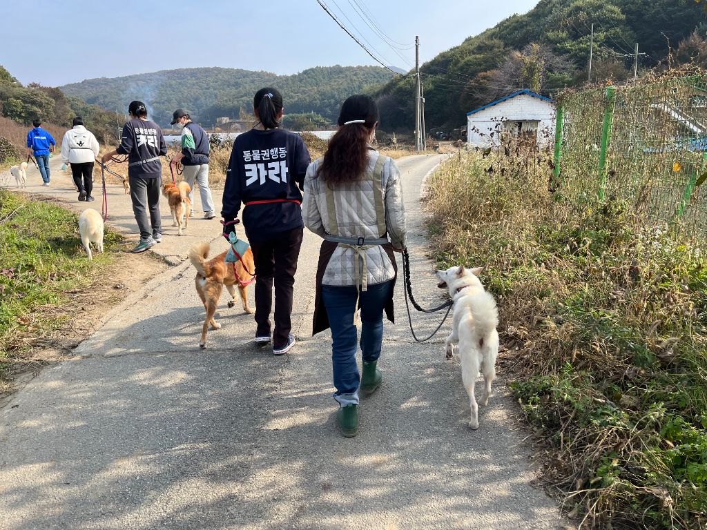 봉사 활동