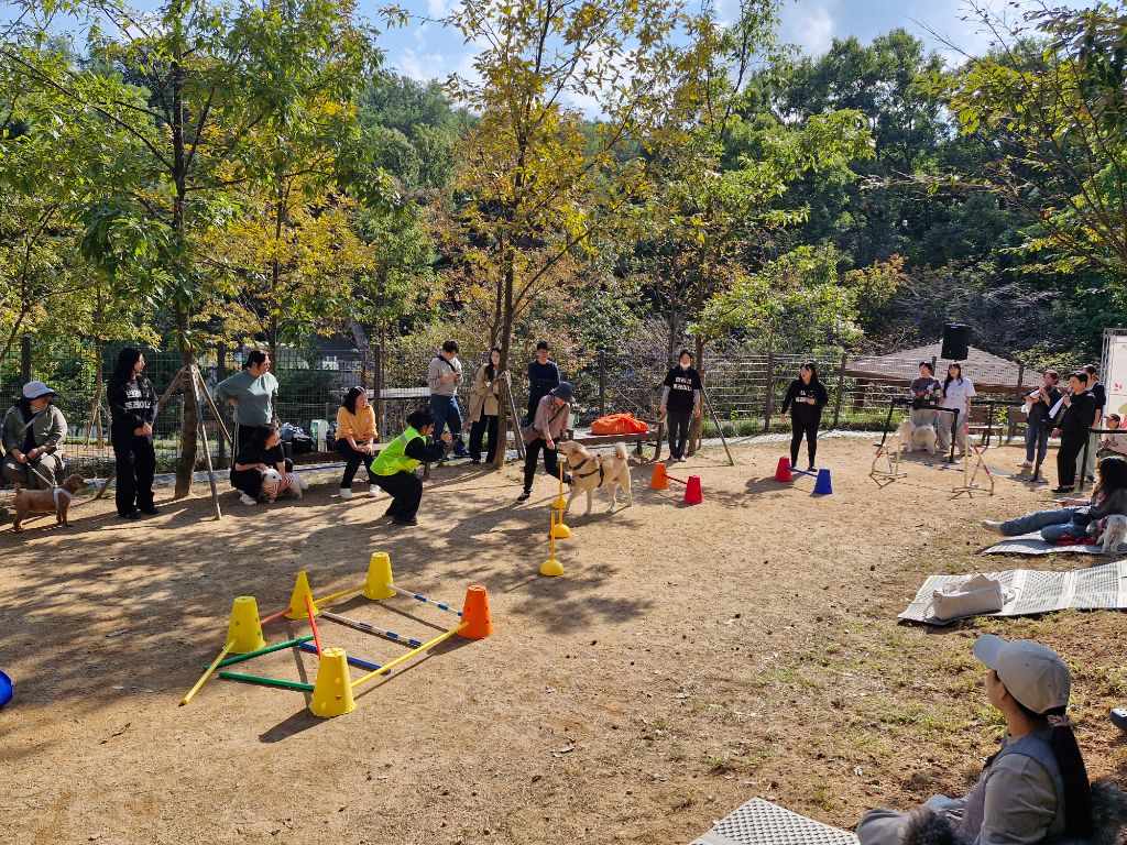 봉사 활동